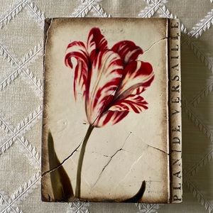 Sid Dickens Versailles Tulip